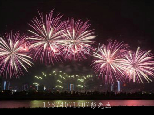 焰火晚會案例 焰火晚會案例